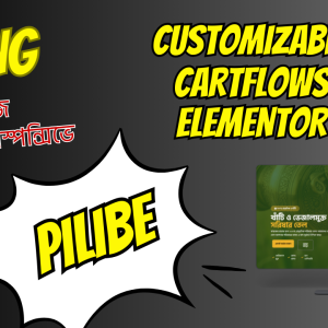 Facebook Ads + Professional Landing Page = বেশি অর্ডার